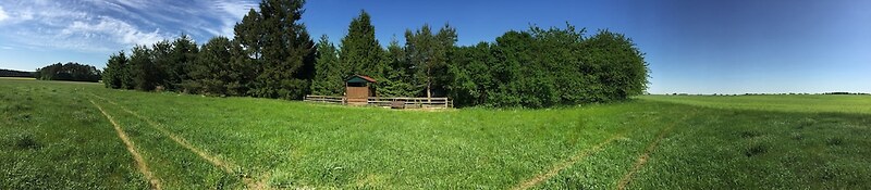 Ferienhaus Mirow-Lärz - Kamin Wald Ruhe