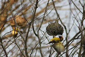 Curry's Post Bed and Breakfast