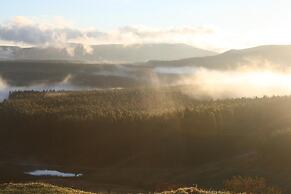 Curry's Post Bed and Breakfast