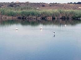 VenAVera C10A - Ground floor Garden 3Bedrooms/2Baths Beachfront, WIFI