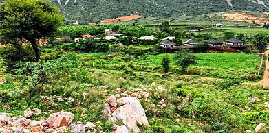 Foothill Pushkar Resort