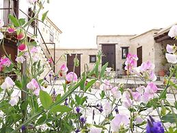 Olympia Traditional Houses