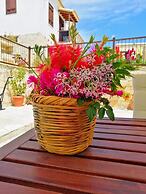 Olympia Traditional Houses