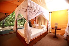 Yala safari and Relax camping