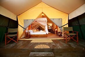 Yala safari and Relax camping