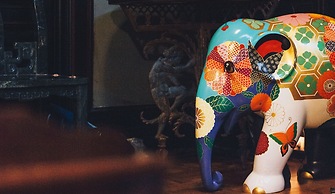 Northern Lights Mansion