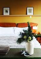 Hapuku Lodge & Tree Houses