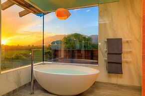 Hapuku Lodge & Tree Houses