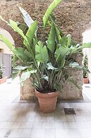 Agave in città