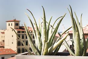 Agave in città