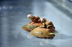 Sun Moon Lake Teachers' Hostel