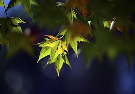 Sun Moon Lake Teachers' Hostel