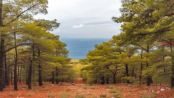 Limeri Traditional Guest House