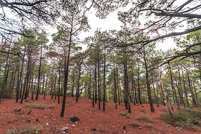 Limeri Traditional Guest House