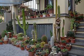 Affittacamere Acquamarina