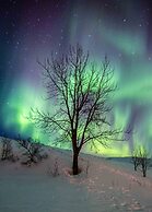 Dalshöfði Guesthouse