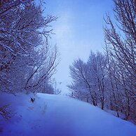 Dalshöfði Guesthouse