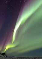 Dalshöfði Guesthouse