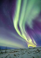 Dalshöfði Guesthouse