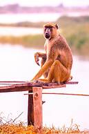 Selous Butembo Tented Lodge Lotus