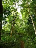 Milimani Cottages