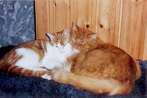 Täljegården Lantgårdshotell