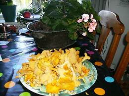 Täljegården Lantgårdshotell