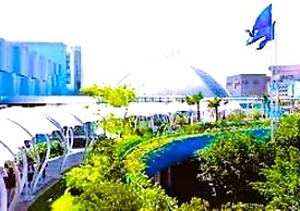 Grass Residence SM North MRT NLEX QC