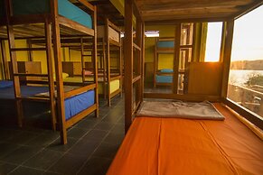 One Tree Hill - Hostel