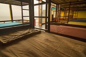 One Tree Hill - Hostel