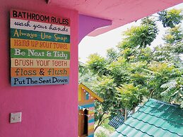 One Tree Hill - Hostel