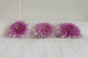 Antouanetta Apartments