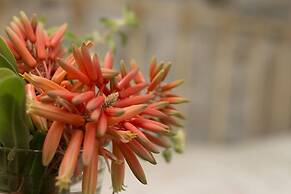 Antouanetta Apartments