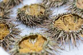 Luoyang Christian's Hotel