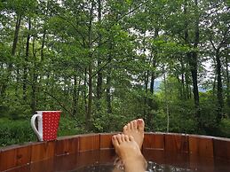 Vodenica Vrelo Chalets