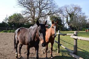 Agriturismo Tenuta Buon Respiro