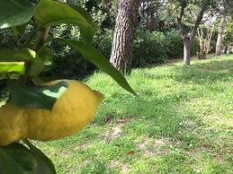 Villa Saint Paul de Vence Angels