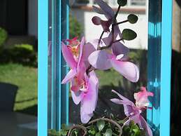 Blue Lagoon Lodge Blantyre