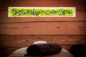 Montana Chalet Hôtel Spa
