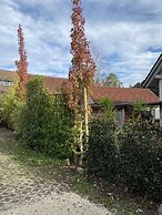 Pia's Nature Retreat