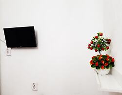 Apartments on Prospekt Dzerzhinskogo 240