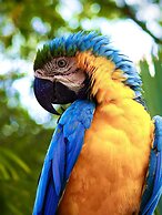 Reserva Natural Tierra Adentro