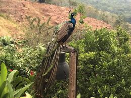 Reserva Natural Tierra Adentro