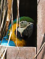 Reserva Natural Tierra Adentro