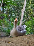 Reserva Natural Tierra Adentro