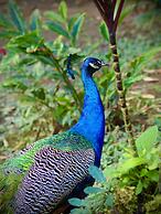 Reserva Natural Tierra Adentro