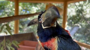 Reserva Natural Tierra Adentro