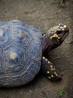 Reserva Natural Tierra Adentro