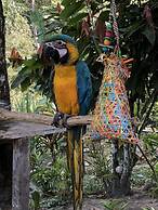 Reserva Natural Tierra Adentro