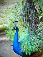 Reserva Natural Tierra Adentro